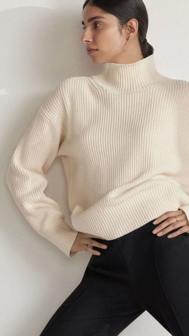 The Organic Cotton Ribbed Turtleneck Canvas
