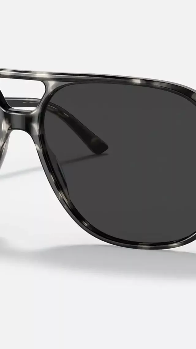 Bill Sunglasses In Grey Havana And Black