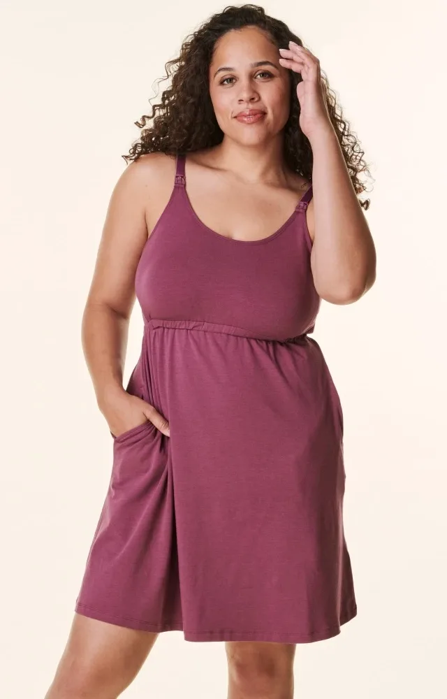 Plum Bravado Drop Front Nursing Maternity Dress