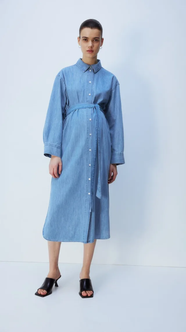 Mama Before & After Denim Shirt Dress